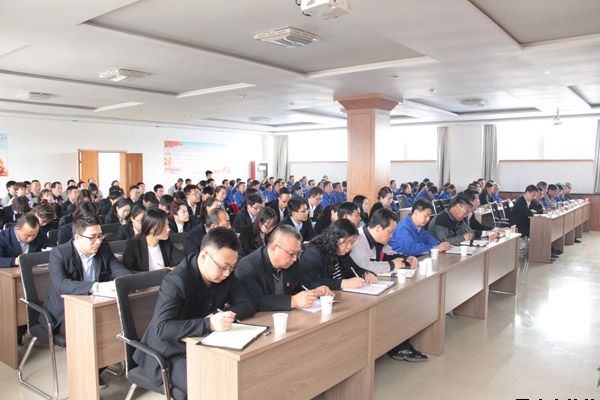 市委第四巡察组巡察华球体育泓源公司工作动员会召开(图5)
