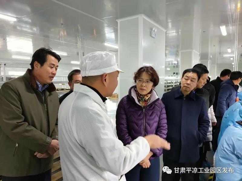 省市人大代表来华球体育工业园区视察(图2)